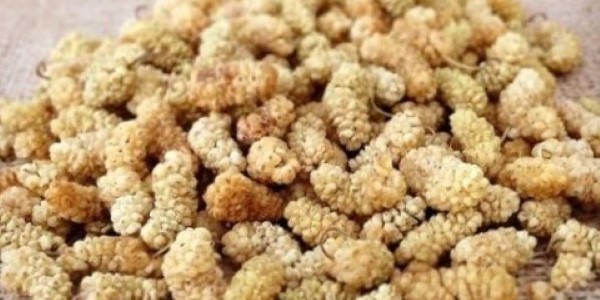 تصویر 5 از خرید و قیمت توت خشک درجه یک + فروش عمده